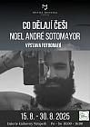 Galerie - výstava  CO DĚLAJÍ ČEŠI  Noel André Sotomayor