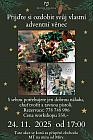 ADVENTNÍ WORKSHOP