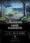 Galerie - výstava ŠUMAVA olejomalby Marie Kolrusové